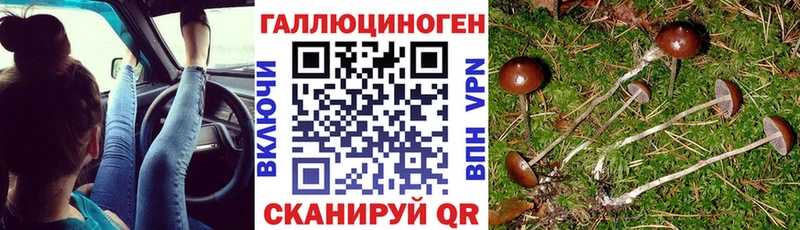Галлюциногенные грибы прущие грибы Емва